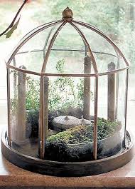 Terrarium Miniature Greenhouse Arboretum Conservatory Miniature Greenhouse Garden Terrarium Terrarium