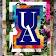 The University of Akron logo
