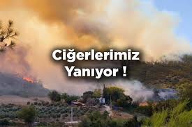 Günün ağarmasıyla havadan yapılan müdahalelerle kontrol altına alınırken soğutma çalışmaları sürüyor. T9nwx1bqlkngvm