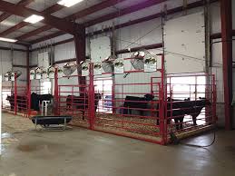 Show Barn Showcase Horn Livestock Cattle Barn Livestock Barn Show Cattle Barn