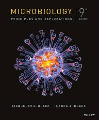 Instead, i like to muddle fresh berries, add my classic margarita ingredients and shake, and then fine strain the cocktail. Microbiology