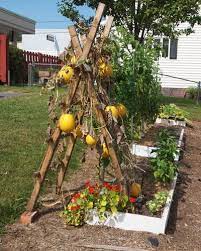 Perfect Idea I Never Thought Of Instead Of Making A Big Planter And Only Use 1 4 Of It For Plants A Narrow One A Squash Trellis Pumpkin Trellis Winter Plants