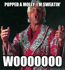 Popped A Molly I M Sweatin Wooooooo Ric Flair Woooo Quickmeme