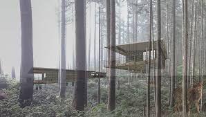 Washington lodging like these rustic cabin rentals near me are the best rentals in washington state! Shed Architecture Design Seattle Architects Prefab Cabins