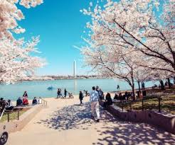 Practice fractions over spring break with all kinds of cute and colorful spring things. Cheap Spring Break Travel Ideas For Families On A Budget Mommypoppins Things To Do With Kids