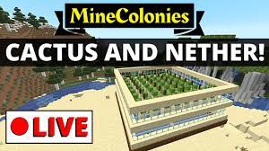 Cacti are succulents, but not all succulents are cacti. Minecolonies Live Stream Cactus Farm Nether Exploring Youtube
