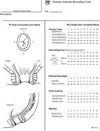 Feb 05, 2018 · egton medical information systems limited has used all reasonable care in compiling the information but make no warranty as to its accuracy. A Comparison Of Endoscopic Ultrasound Magnetic Resonance Imaging And Exam Under Anesthesia For Evaluation Of Crohn S Perianal Fistulas Gastroenterology