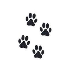 Fournitures Flex Thermocollant Sur A Little Mercerie Page 21 Tatouage Patte De Chien Tatouage Patte De Chat Patte De Chien