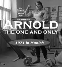 Schwarzenegger went on to win 13 more world championship titles in bodybuilding, and eventually schwarzenegger still works out at gold's gym (the first gym he went to when he came to america in. Arnold Schwarzenegger Die Pragendste Figur In Der Geschichte Des Bodybuildings Rep One