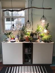 • many types of cactus will grow readily from cuttings. Added A Grow Light Fixture While I Was Snowed In Today Houseplants Grow Lights For Plants Indoor Grow Lights Indoor Plant Lights