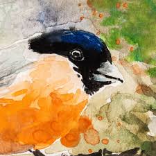 Dec 08, 2020 · botgros, coccothraustes coccothraustes botgrosul e o pasare cu o infatisare oarecum neobisnuita, are un cioc foarte gros, un cap puternic conturat. Tablou In Acuarela Pasare Ciresar Cu Rama De Mdf Multicolor 15 X 10 Cm Emag Ro