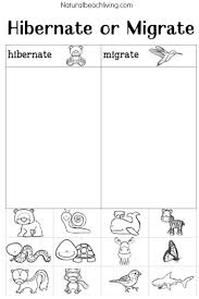 Maybe you would like to learn more about one of these? Winter Animals For Preschool Activities Natural Beach Living