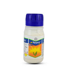 Skip to main search results. Bayer Regent Fipronil 5 Sc 5 W W Insecticide