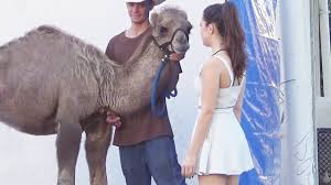 Read the reviews of your fellow travelers. Camel Toe Prank Youtube