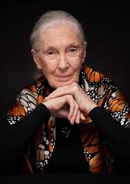 Jane Goodall Institut-Austria