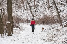 Ways to celebrate national walk the dog day 2021; Happy Canada Day