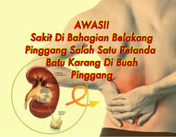 Batu karang pada buah pinggang. Berkongsi Info Untuk Hidup Yang Lebih Sihat Ceria Selamat Dan Semulajadi Shaklee Tanjung Malim Shaklee Upsi Shaklee Manjung
