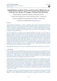 Image result for Pavetta rwandensis