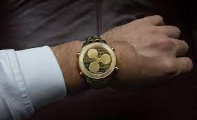 Learn more about cryptocurrency investment. Is Ripple A Good Investment Earn With Small Investments Xrp 2020