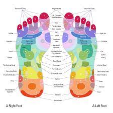 Check spelling or type a new query. Female Reproductive Reflexology Points Plexus Products Reflexology Celiac Plexus