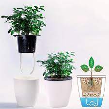 Self Watering Flower Pots Various Sizes Indoor Flower Pots Hanging Plants Indoor Flower Pots
