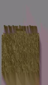 History of the Old Dutch church at Totowa, Paterson, New Jersey, 1755-1827