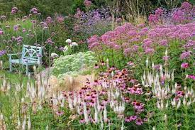 This Perennial Border Is Brimming With A Colorful Naturalistic Planting It Is Prairie Planting Plants Naturalistic Garden