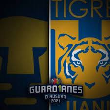 Horario y dónde ver en vivo por tv el partido de la jornada 15 del guardianes 2021'. Umjdshbj Zhzom