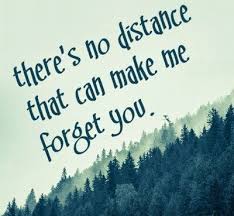 Pin By Amber Holcomb On Forget Me Not Novel Friend Quotes Distance Friendship Quotes Distance Best Friendship Quotes
