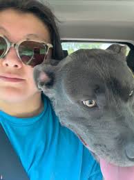 Adoption of Big Mack by Taylor Ouellette and Ryan Palermo