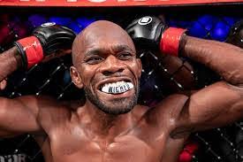 Donna Tortorici's Instagram, Twitter & Facebook