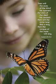 23rd Sunday in Ordinary Time