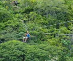 With +25 years experience, our ict certified guides will take you where you want to go. Canopy Zipline Adventure Bamboo Bass Festival