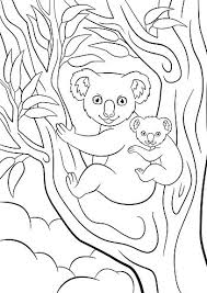 Check spelling or type a new query. Kleurplaat Koala