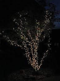 Pin On Christmas Lights Outdoor Trees