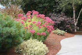Pin On Garden Ideas