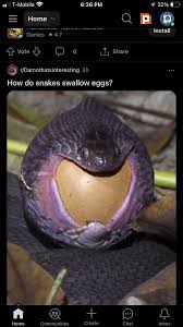 I bet this needs no explanation but yall got different ideas isnt it ? :  rPeterExplainsTheJoke