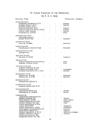 Image result for Isoglossa gregorii