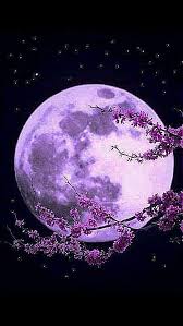 Under The Cherry Moon Prince Beautiful Moon Moon Pictures Pictures