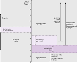 Glucose Blood Level An Overview Sciencedirect Topics