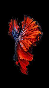 Wallpaper Iphone Wallpaper Ios Ios Wallpapers Iphone 6s Wallpaper