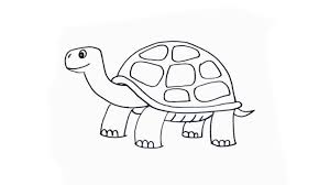 How to draw a anime turtle. How To Draw A Tortoise Or Turtle My How To Draw