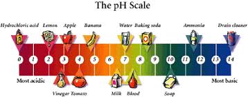 Uses And Properties Of Acids And Bases All You Need To