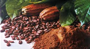 Senarai jenis coklat dan harga coklat makmal rintis coklat pusat penyelidikan bioteknologi koko, lembaga koko malaysia, sabah. Kebaikan Khasiat Koko Kapit Emas Trading 002457571 X