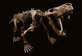 Before The Dinosaurs Cosmos Magazine Prehistoric Animals Palaeontology Dinosaur