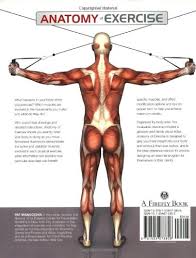 The curious lives of human cadavers by mary roach, atlas of human anatomy by frank h. Anatomy Of Exercise A Trainer S Inside Guide To Your Workout Manocchia Pat 8601400631744 Amazon Com Books