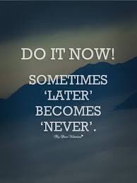 Do It Now Sometimes Later Becomes Never Work Quotes Inspirational Work Quotes Inspirational Quotes