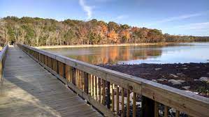 Search on info.com for long hunters state park. Long Hunter State Park Tennessee State Parks