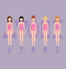 All body shapes are beautiful. Women Body Shape Drawing Vector Images Over 1 100