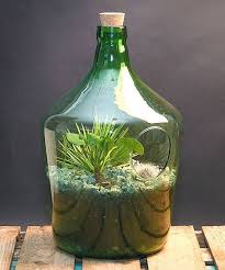 Green Open Bottle Terrarium Green Open Bottle Terrarium Establish Your Very Own Miniature Garden In This Charming Terrar In 2020 Bottle Terrarium Terrarium Bottle